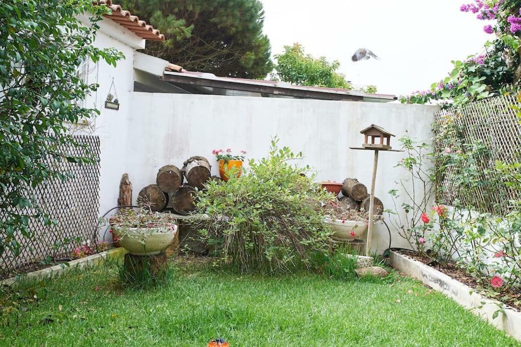 Вилла Beija-Flor House Рибамар Экстерьер фото
